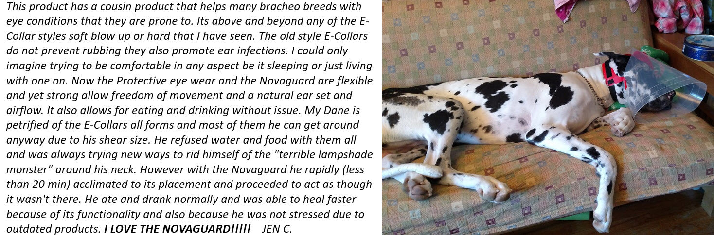 Novaguard Testimonial - Protective Pet Solutions