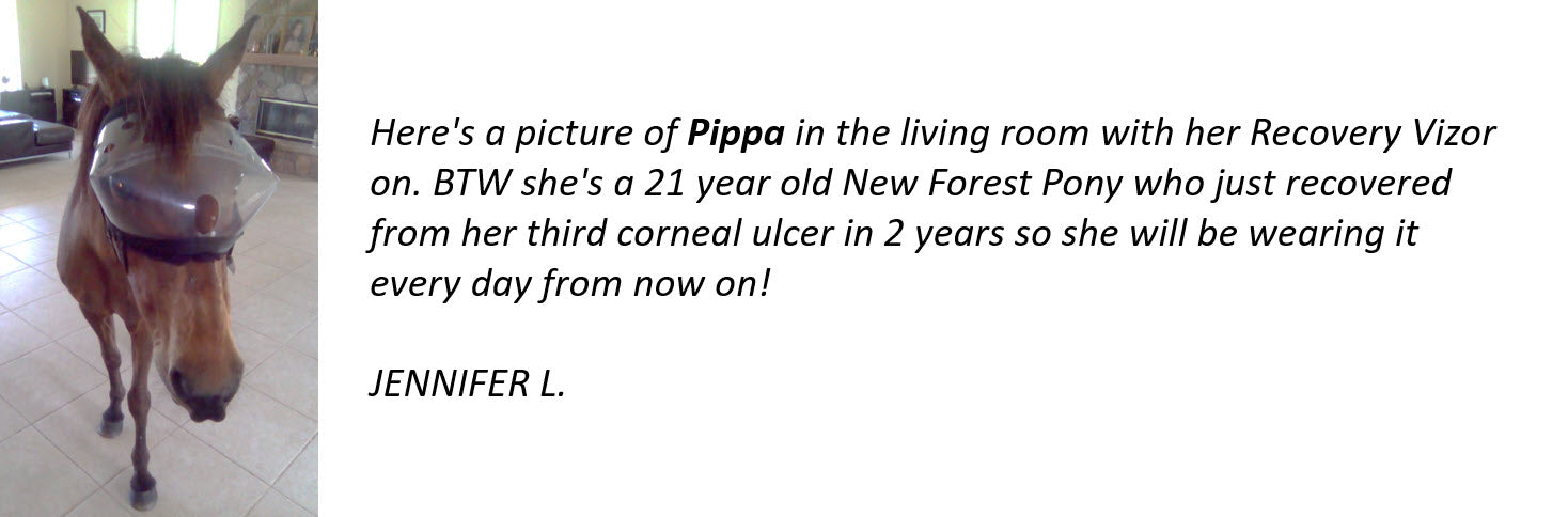 Recovery Vizor Testimonial - superior horse eye protection - 