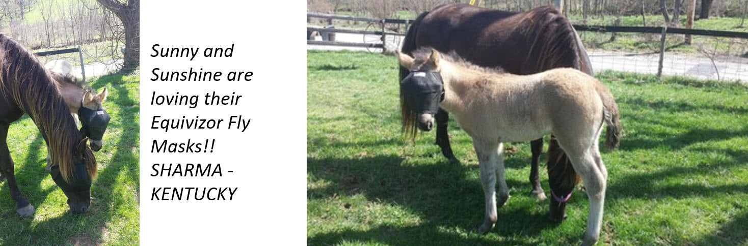 EquiVizor Fly Masks - High UV Eye Protection for Horses from foals to drafts