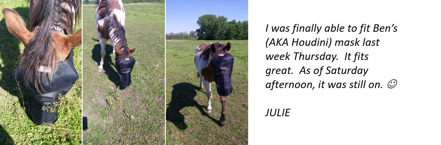 EquiVizor Fly Mask Testimonial - Protective Pet Solutions