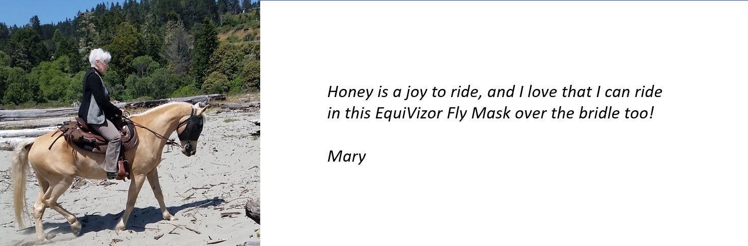 EquiVizor Fly Mask Testimonial - Able to ride with it on over the bridle