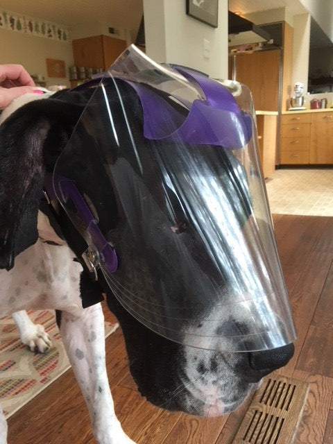 XL OptiVizor - Clear UV Tint - Regular Snout