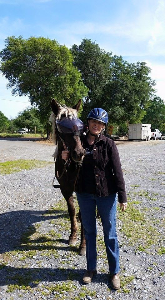 Dawnica in Dark UV Tint Recovery Vizor for Horses