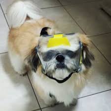 OptiVizor Eye and Face Protection - UV 92% - For dogs and cats