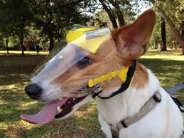 OptiVizor UV Eye and Face Protection for dogs and cats