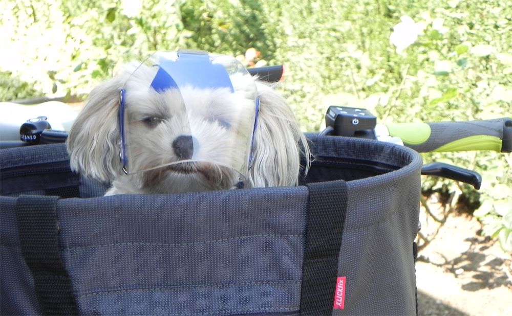 OptiVizor Medical and Preventative UV Eye Protection