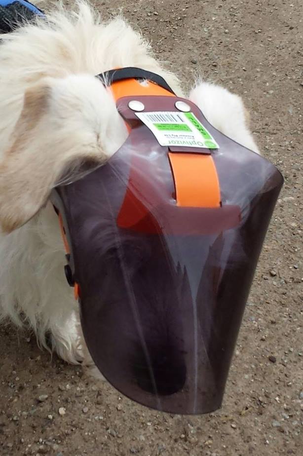 OptiVizor in dark 90% UV Tint - Eye Protection for Dogs