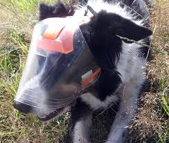 OptiVizor Eye and Face Protection