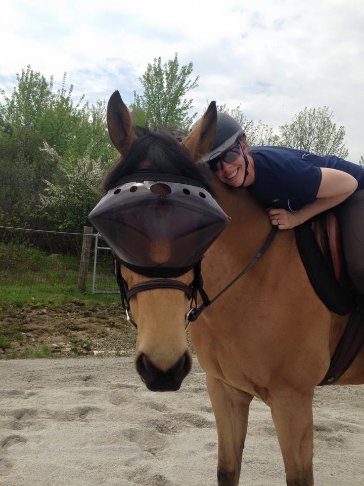 Recovery Vizor  - Medical UV Eye Protection for Horses - Protective Pet Solutions