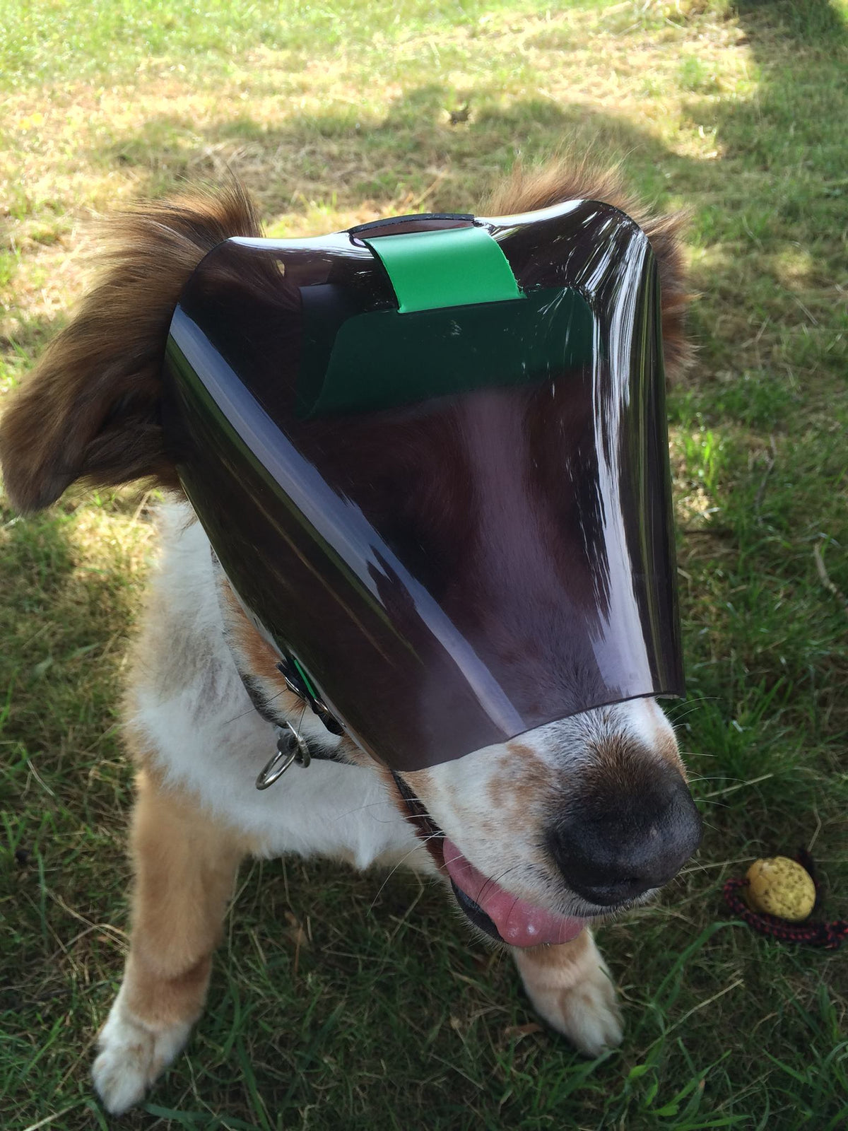 OptiVizor - Regular Snout - Dark UV Tint