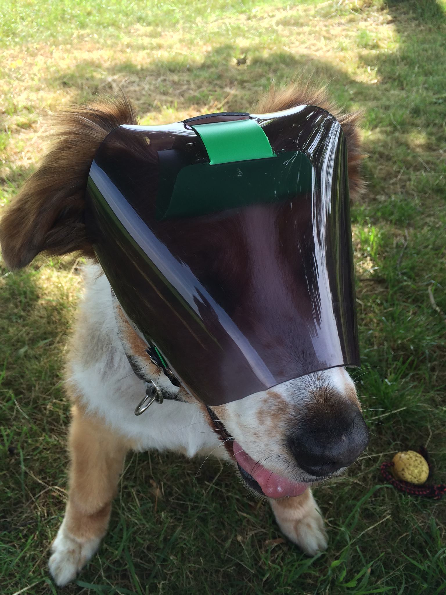 OptiVizor - Regular Snout - Dark UV Tint