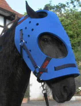 EquiVizor Multi-Purpose Helmet