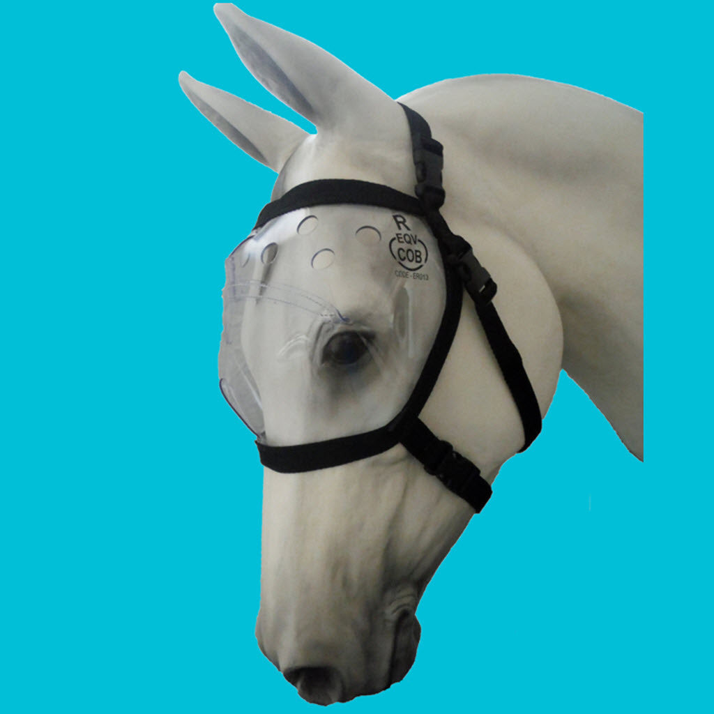 Superior Mounted Horse Patrol Police Vizor