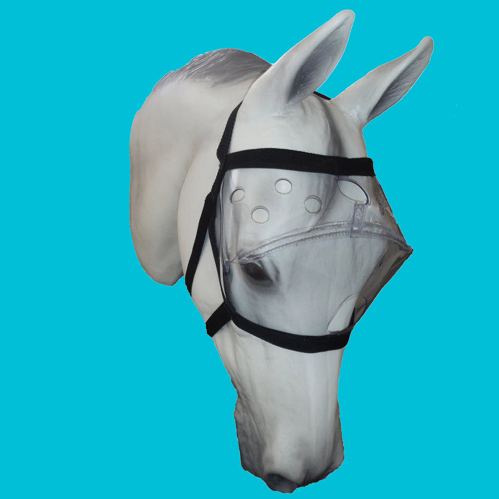 Equivizor™ Recovery Vizor - Clear UV Tint - Protective Pet Solutions