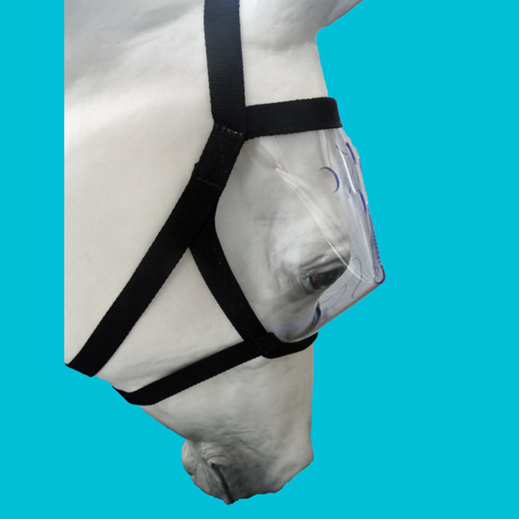 Superior Mounted Horse Patrol Police Vizor