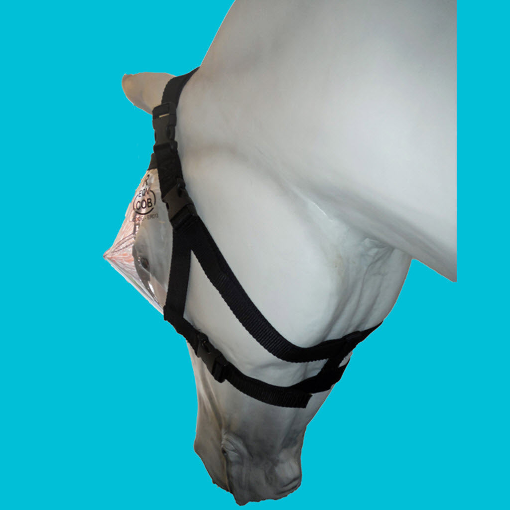 Superior Mounted Horse Patrol Police Vizor