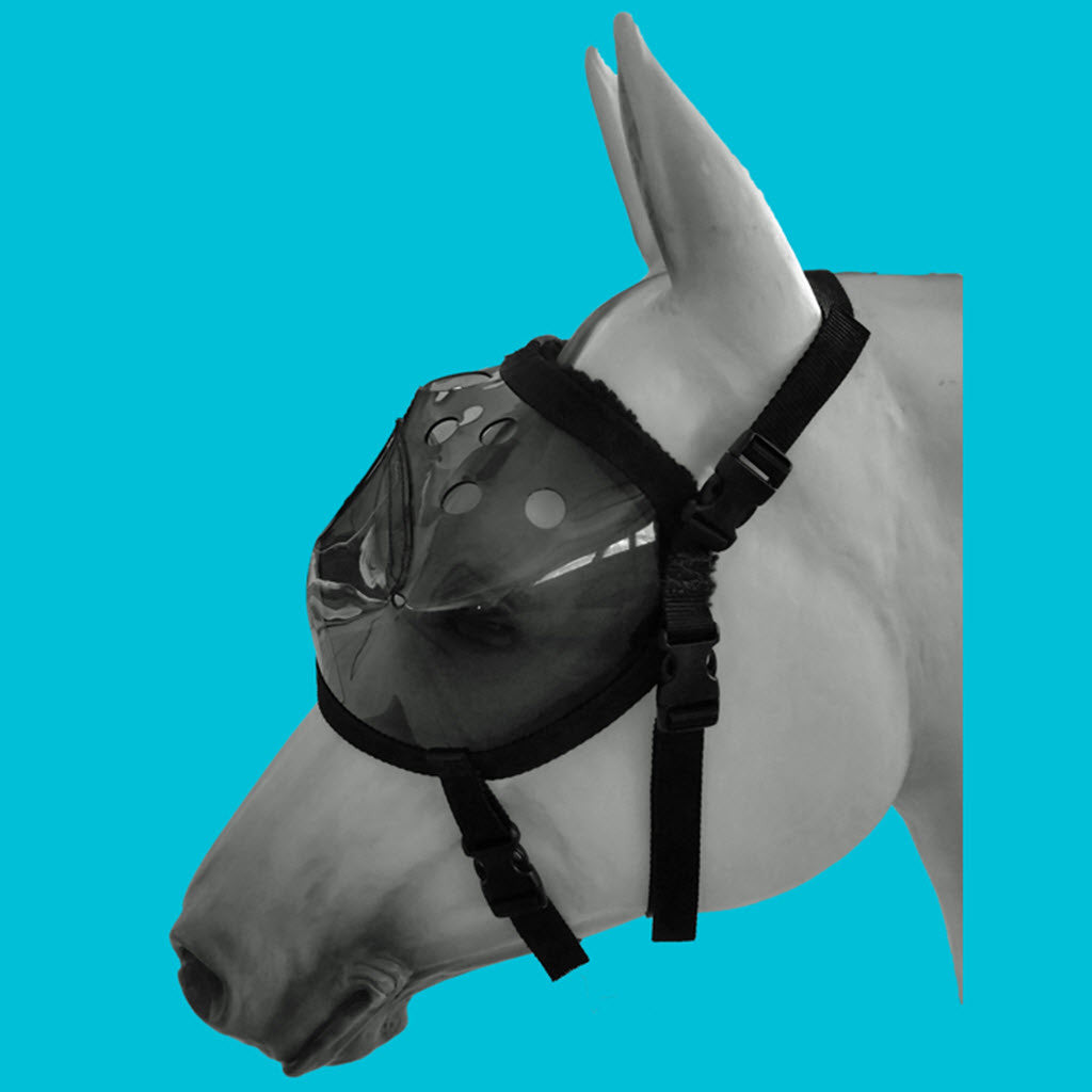 Equivizor™ Recovery Vizor - Dark UV Tint - Protective Pet Solutions