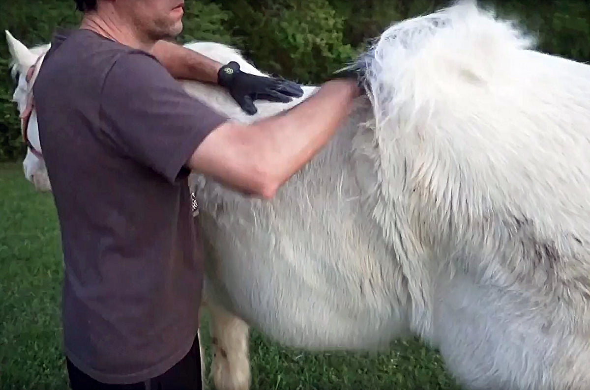 HandsOn Gloves - #1 Grooming, Bathing and Shedding Tool!