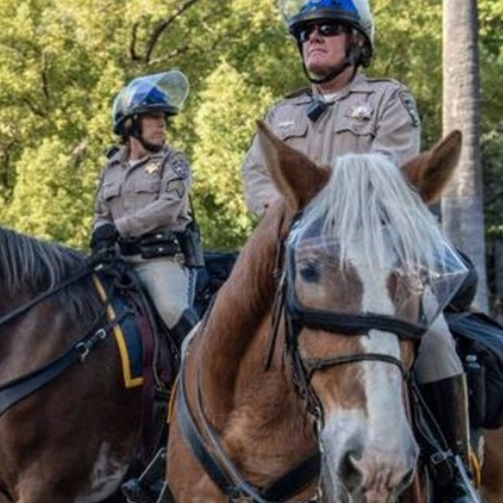 Mounted Police Patrol Vizor