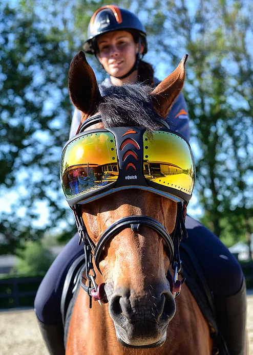 eVysor Active Horse UV Eye Protection