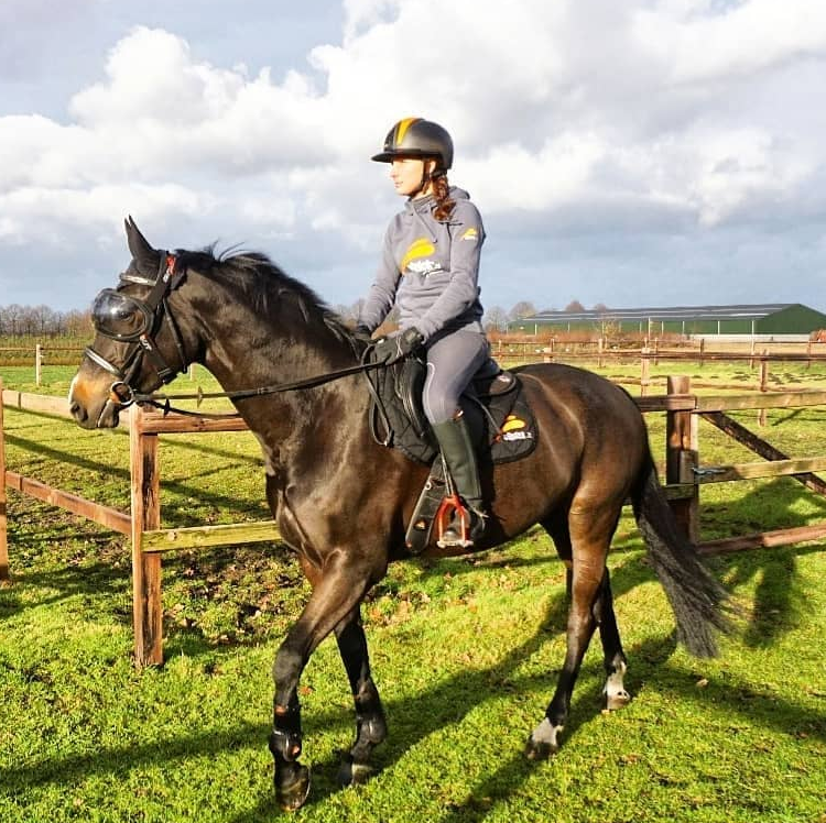 eVysor Active Horse UV Eye Protection