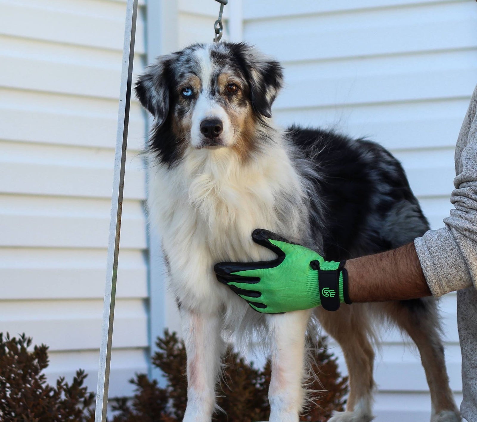 HandsOn Gloves - #1 Grooming, Bathing and Shedding Tool!