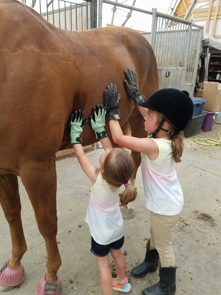 HandsOn Gloves - #1 Grooming, Bathing and Shedding Tool!