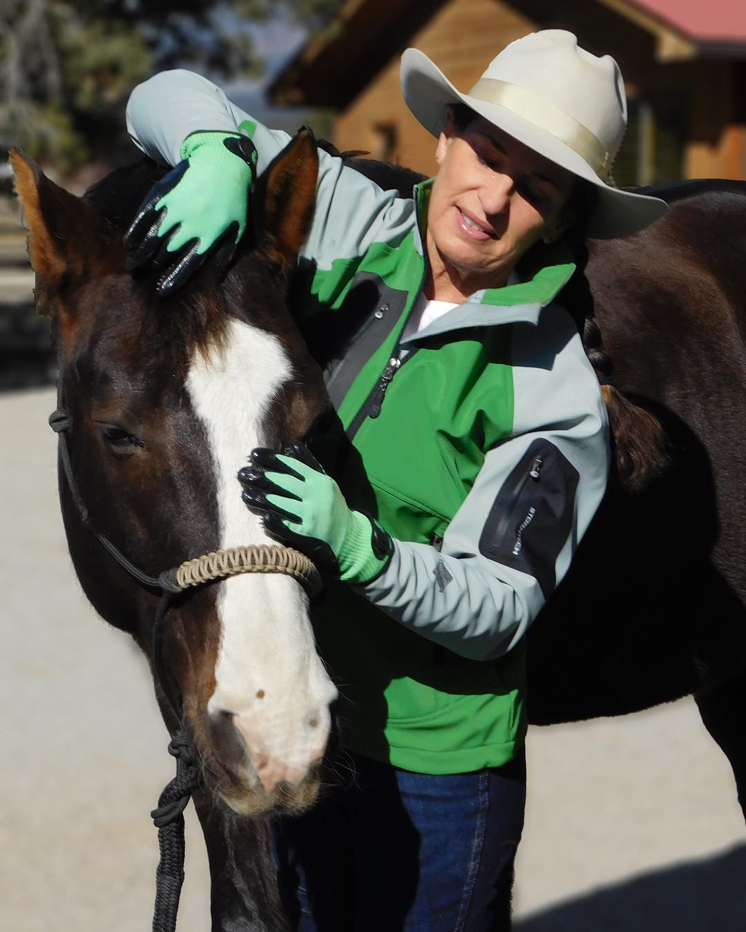 HandsOn Gloves - #1 Grooming, Bathing and Shedding Tool!