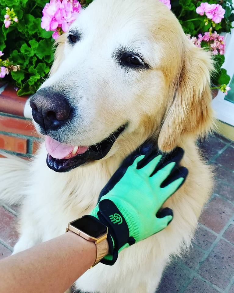 HandsOn Gloves - #1 Grooming, Bathing and Shedding Tool!