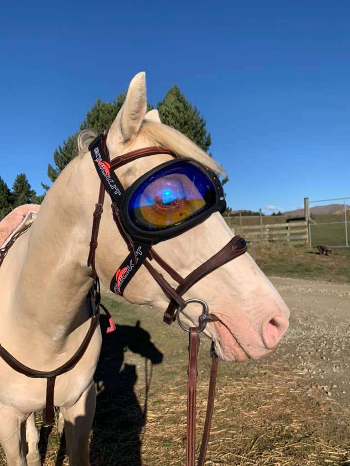 eVysor Active Horse UV Eye Protection