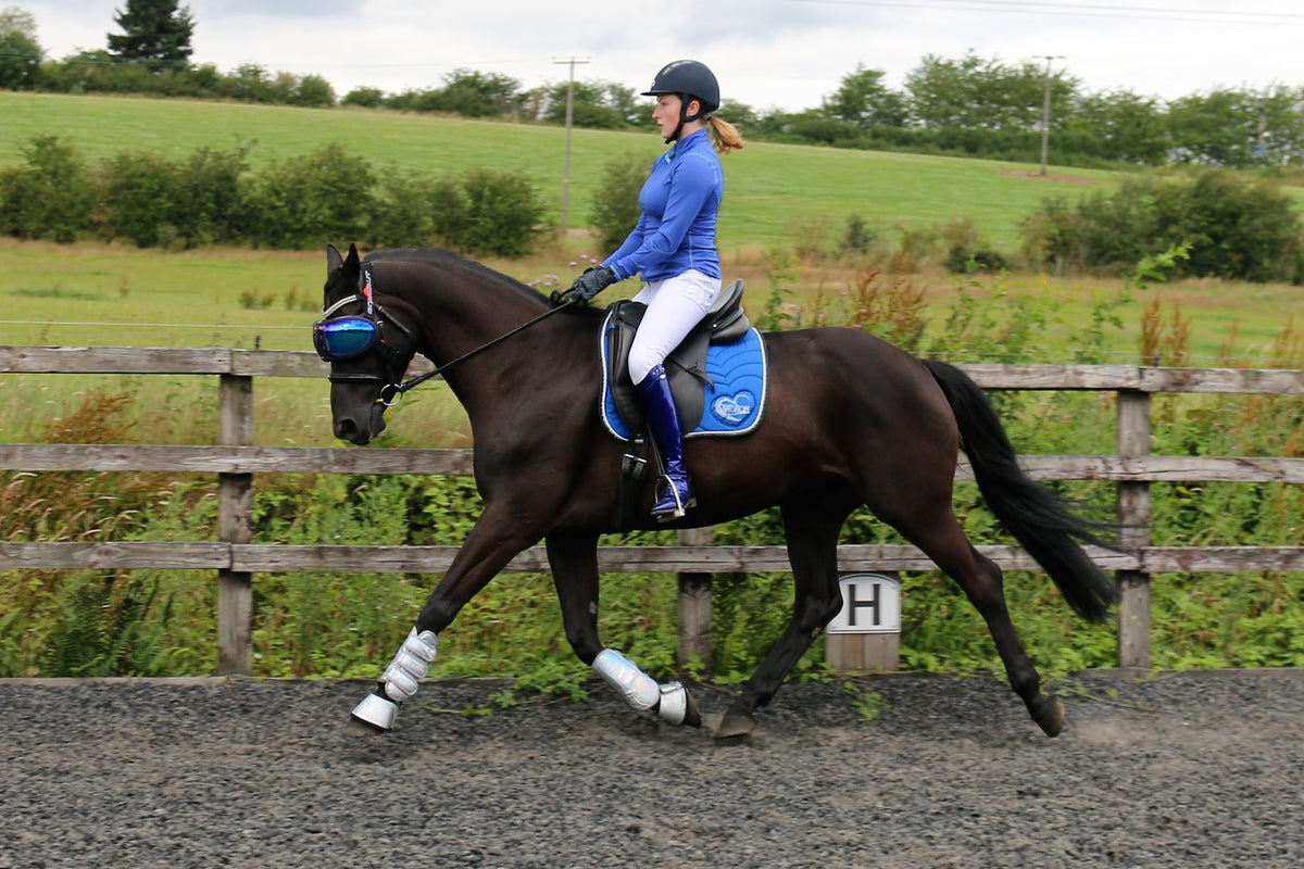 eVysor - UV Horse Riding Goggles!