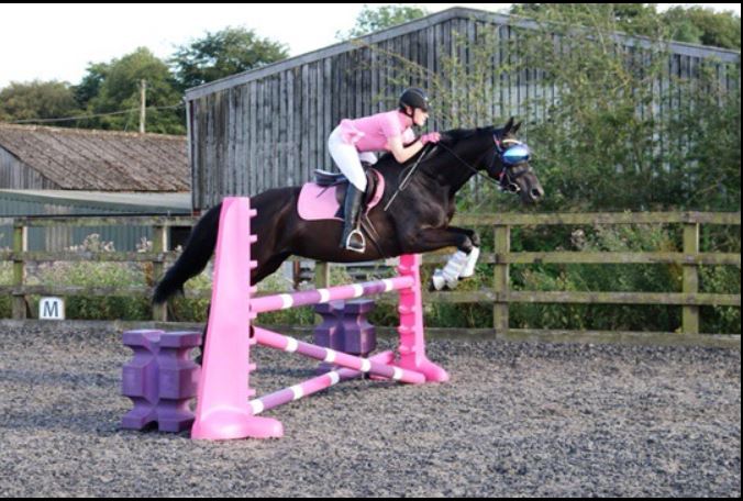 eVysor - UV Horse Riding Goggles!