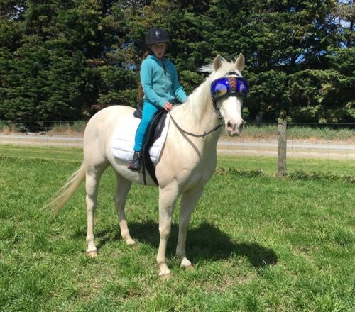 eVysor - UV Horse Riding Goggles!