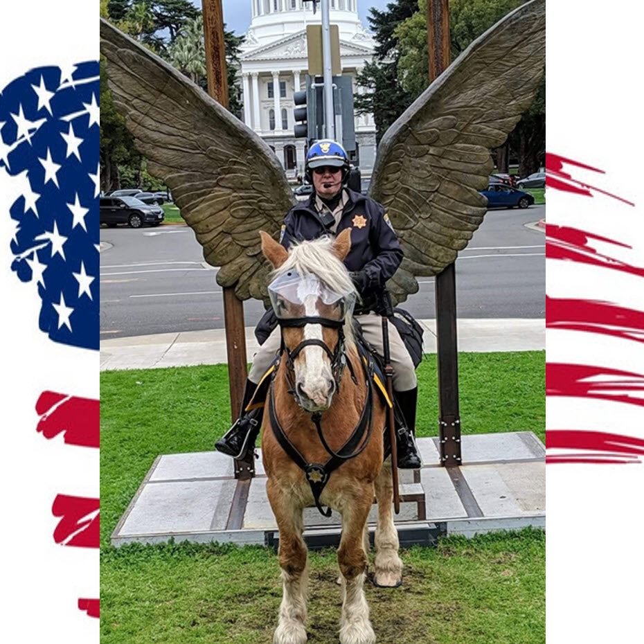 Superior Mounted Horse Patrol Police Vizor