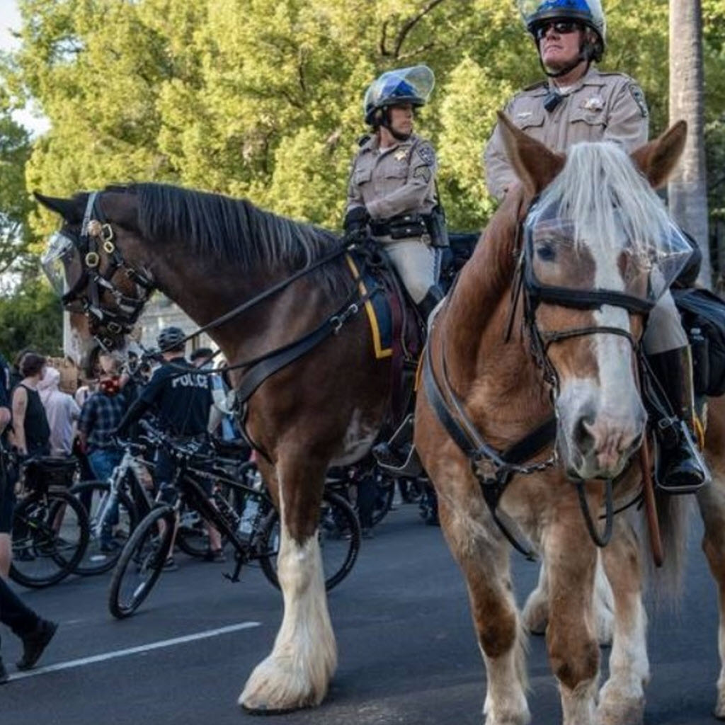 Superior Mounted Horse Patrol Police Vizor