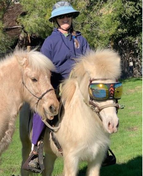 eVysor - UV Horse Riding Goggles!