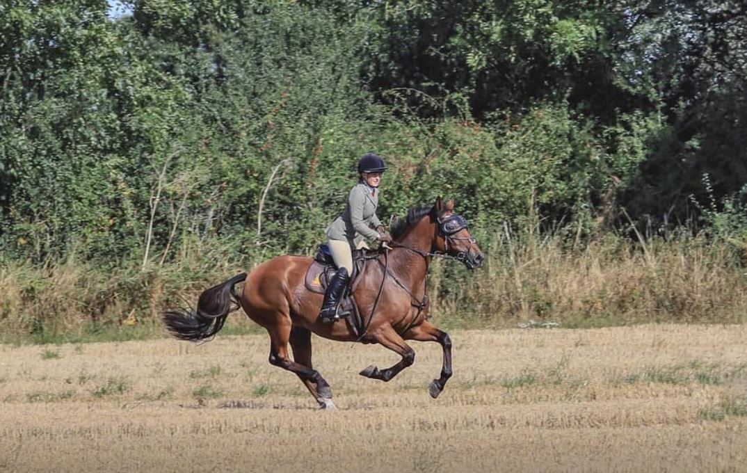 eVysor - UV Horse Riding Goggles!