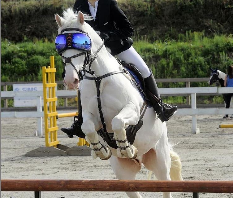 eVysor - UV Horse Riding Goggles!
