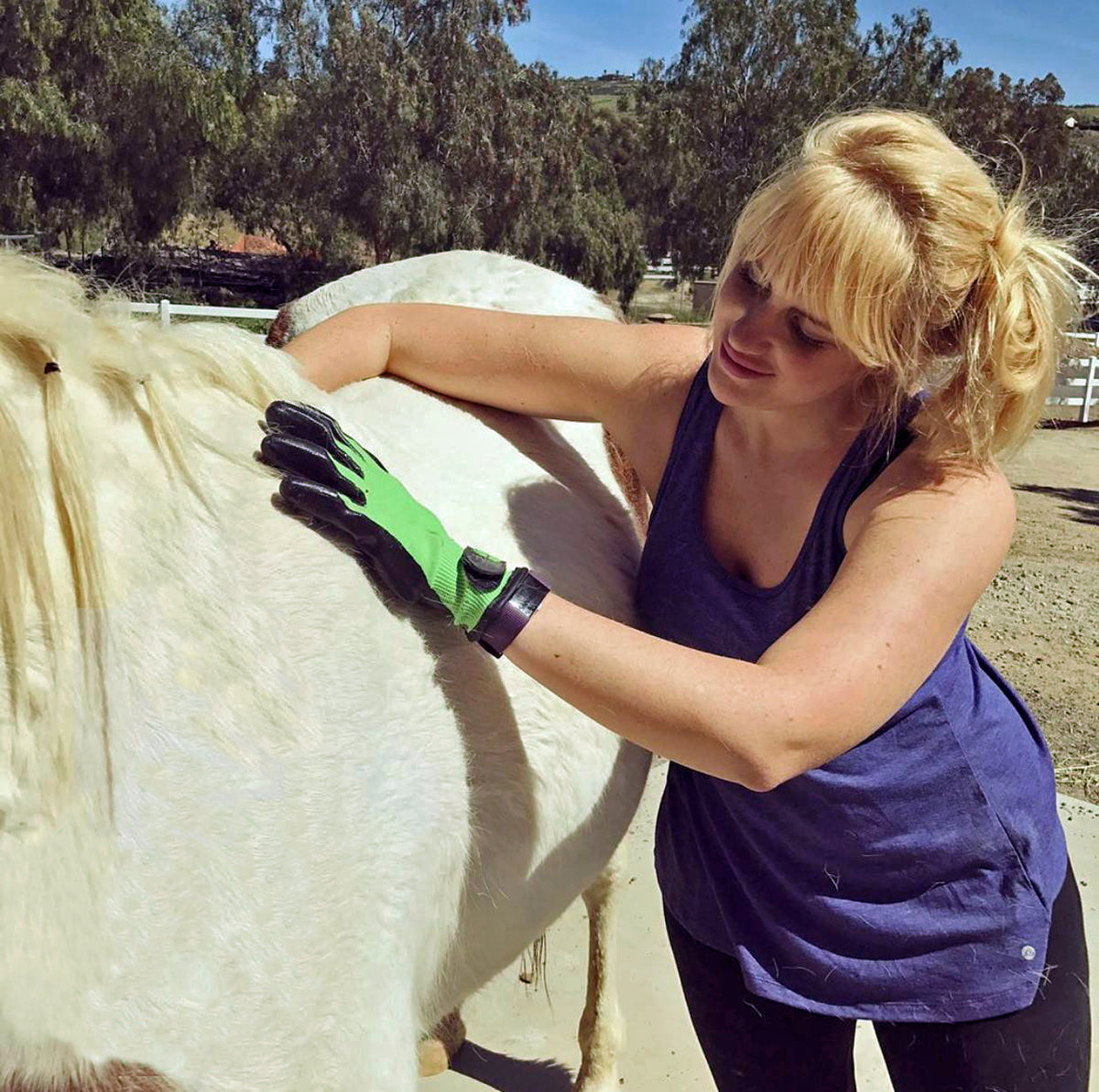 HandsOn Gloves - #1 Grooming, Bathing and Shedding Tool!