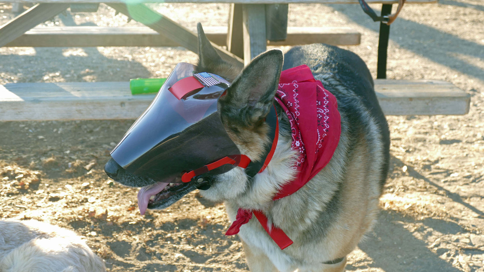 <iframe width="560" height="315" src="https://www.youtube.com/embed/tZSdTKSZkpc" frameborder="0" allow="accelerometer; autoplay; encrypted-media; gyroscope; picture-in-picture" allowfullscreen></iframe>