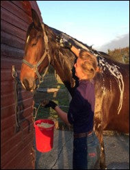 HandsOn Gloves - #1 Grooming, Bathing and Shedding Tool!