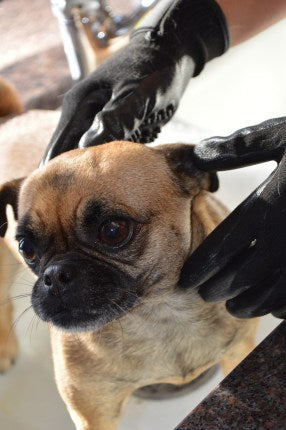 HandsOn Gloves - #1 Grooming, Bathing and Shedding Tool!