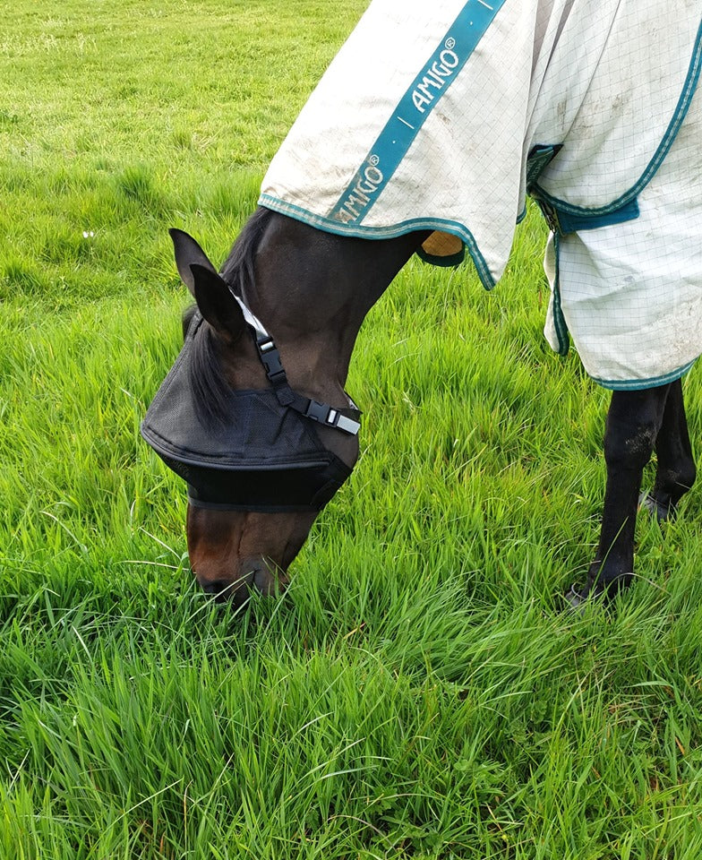 Solar Vizor Fly Mask - Standard Style