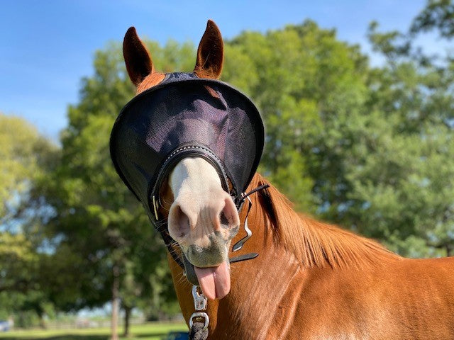 Solar Vizor Fly Mask - Standard Style