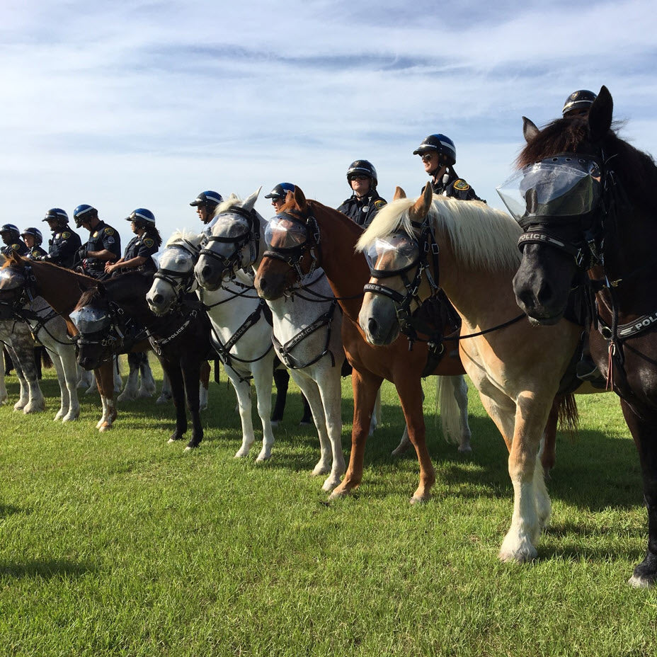 Superior Mounted Horse Patrol Police Vizor