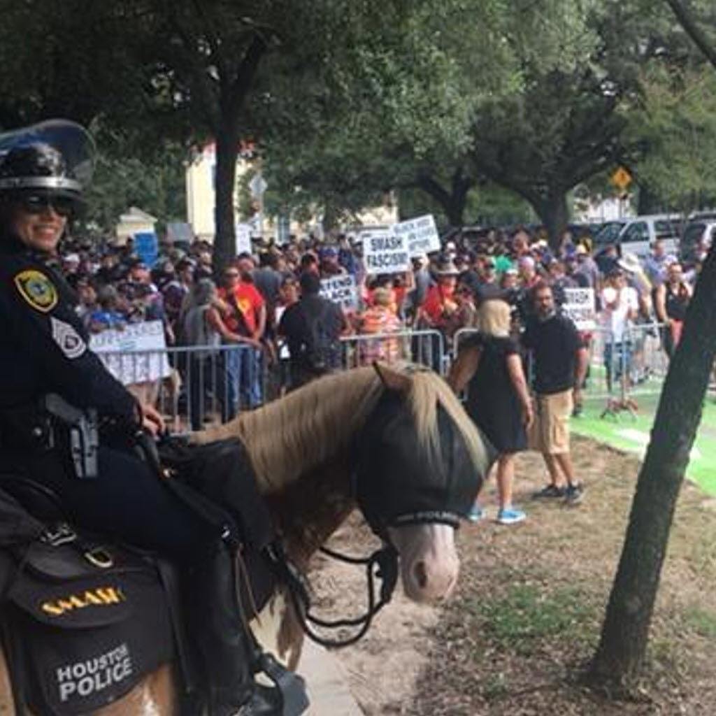 Superior Mounted Horse Patrol Police Vizor