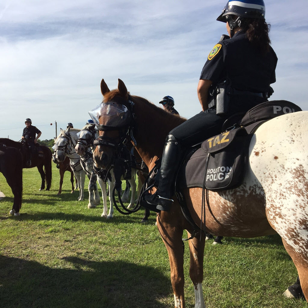 Superior Mounted Horse Patrol Police Vizor