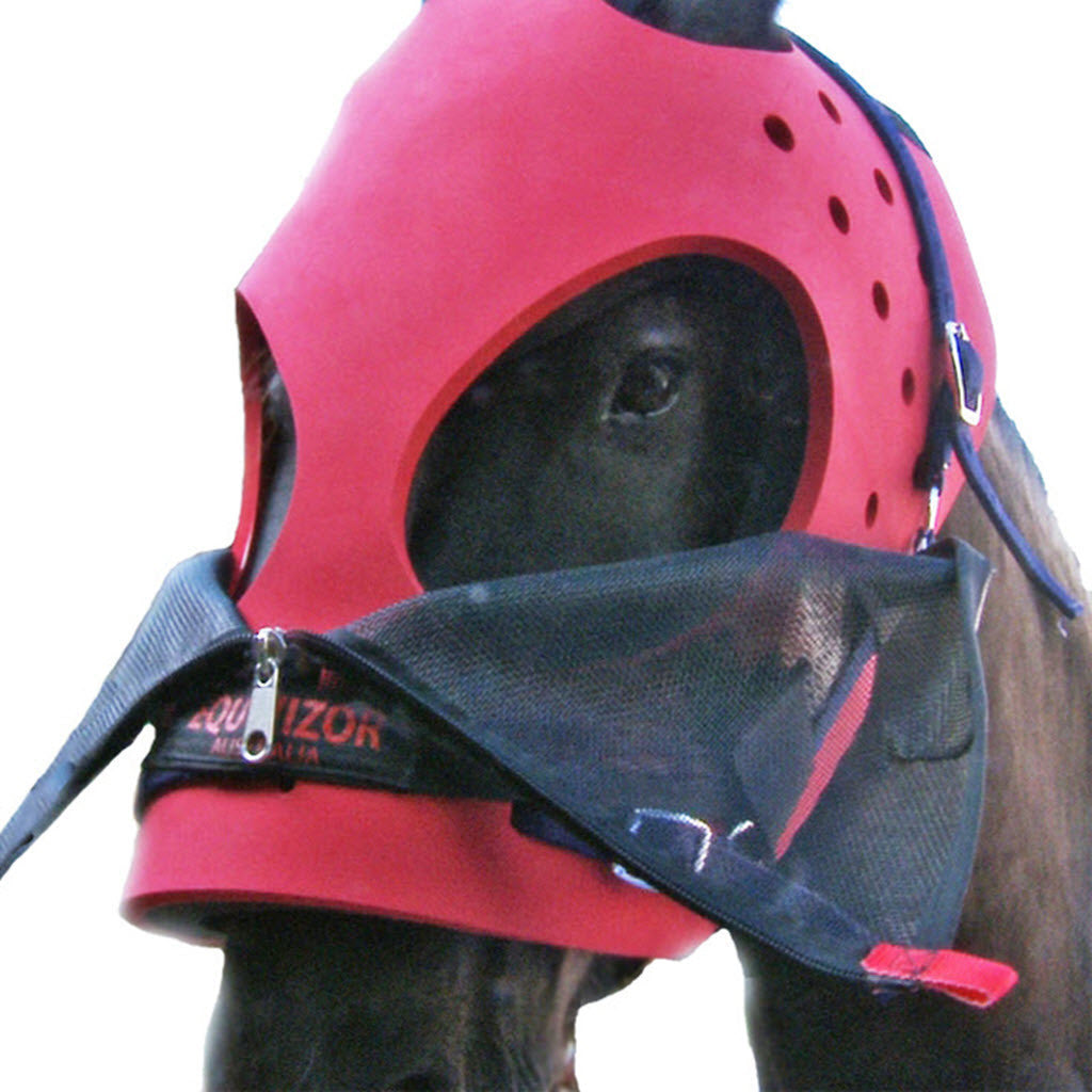 EquiVizor Multi-Purpose Helmet