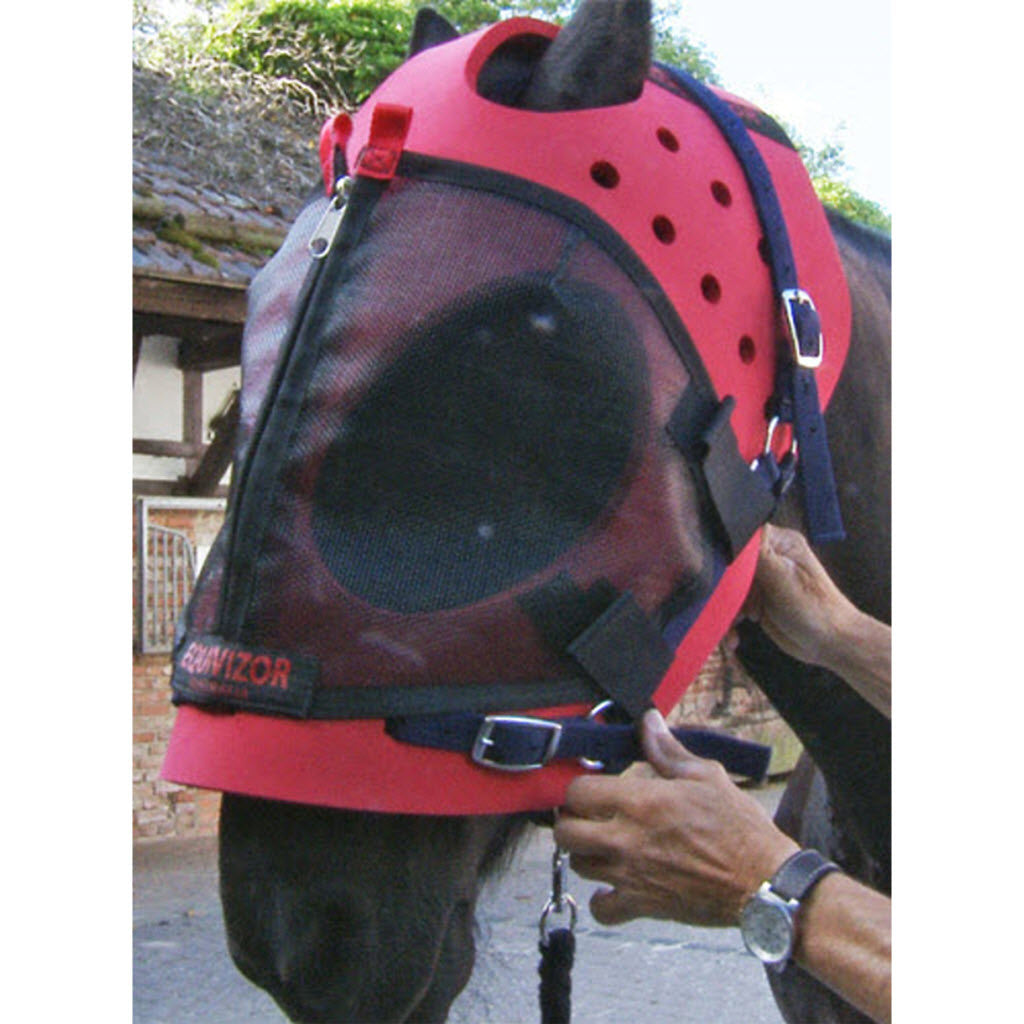 EquiVizor Multi-Purpose Helmet