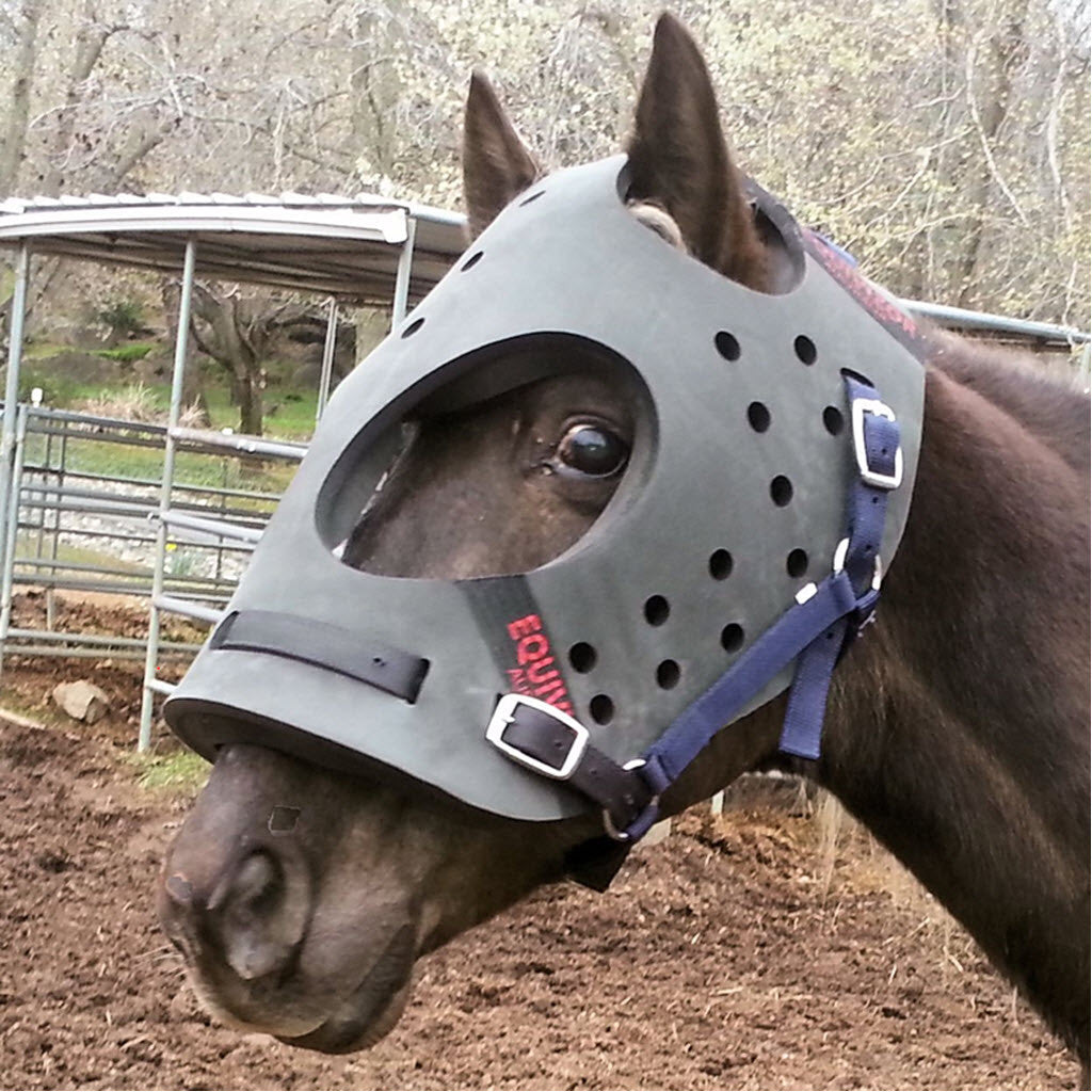 EquiVizor Multi-Purpose Helmet